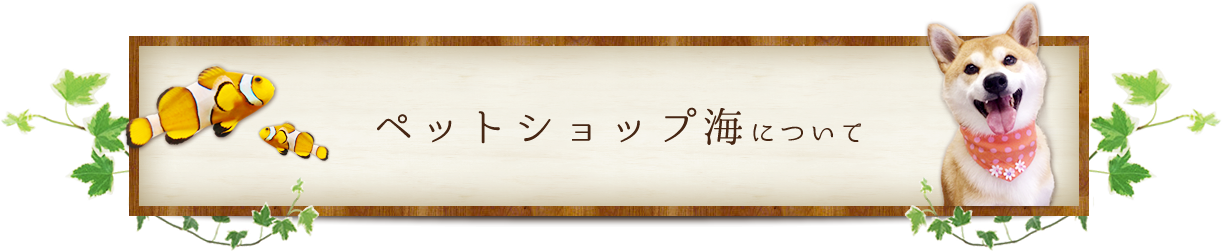 ペットショップ海について