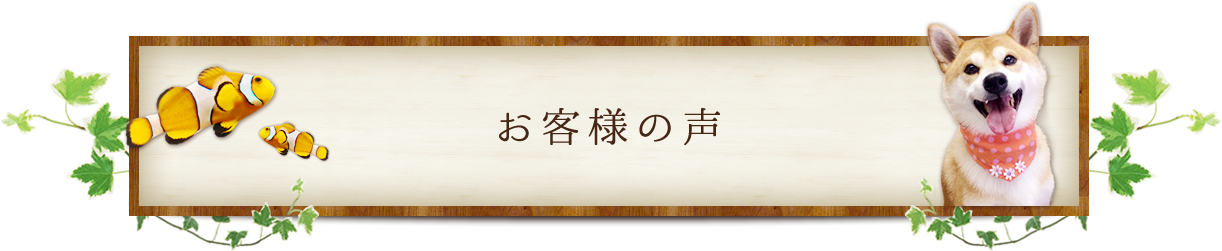 お客様の声